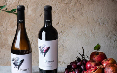 Pagos de Araiz launches the new vintage of its most premium wine, Blaneo Syrah 2018, which sports a new image