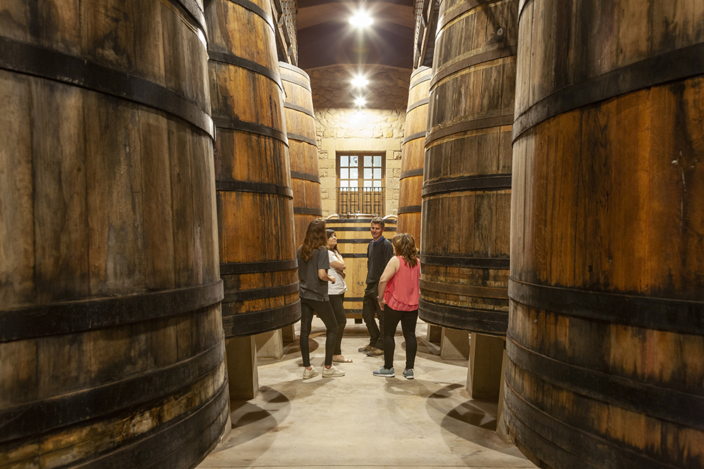 Bodega Murua reinforces wine tourism in summer and attracts twice as many visitors as a year ago