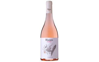Pagos de Araiz launches its premium Blaneo Rosé wine