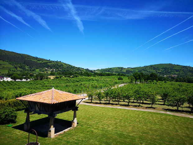 Camino Llagar Valverán