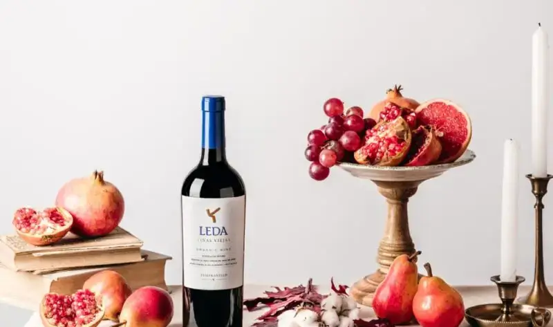 Bodegón con botella vino tinto Leda