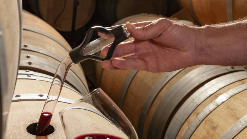 Muestra vino tinto Masaveu