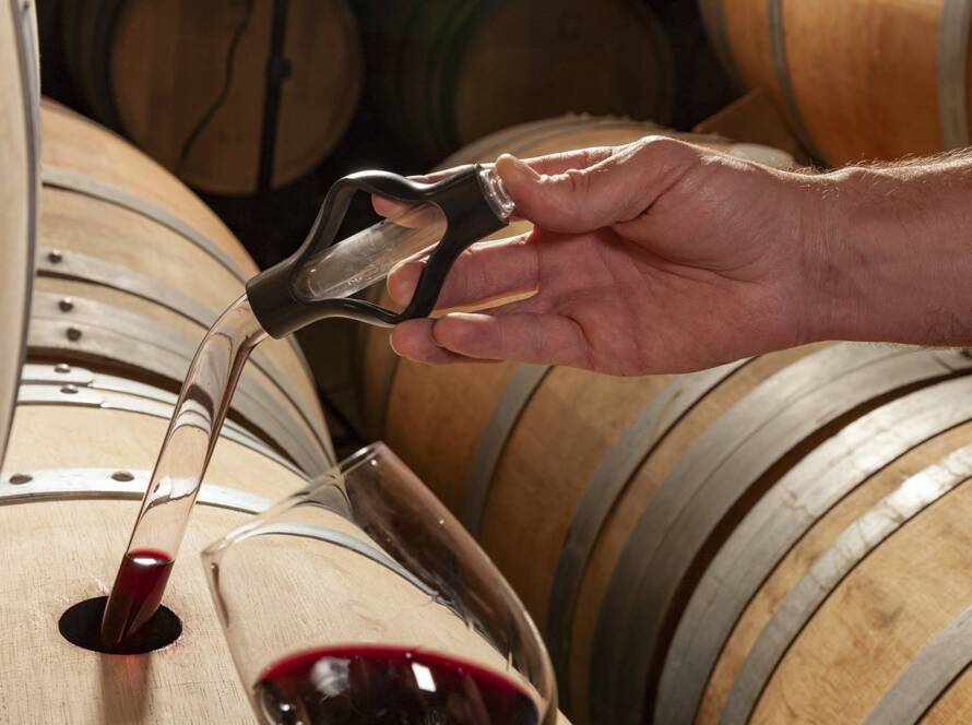 Muestra vino tinto Masaveu