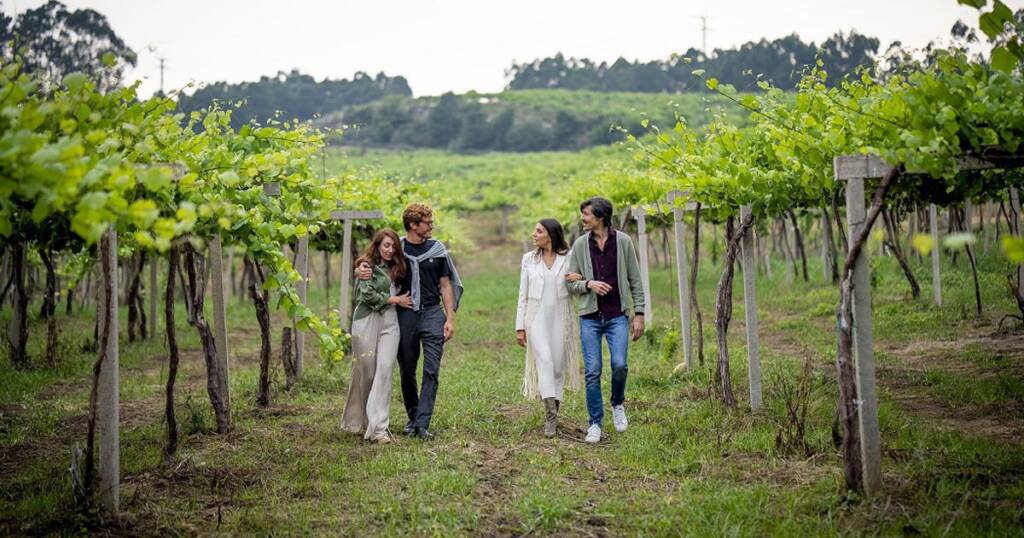 Bodegas Fillaboa, mejor rincón o paisaje enoturístico en los VII Premios de Enoturismo Rutas del Vino de España