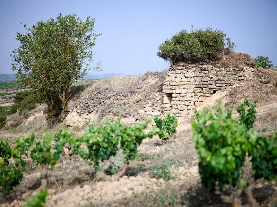 Landscape with Chozo