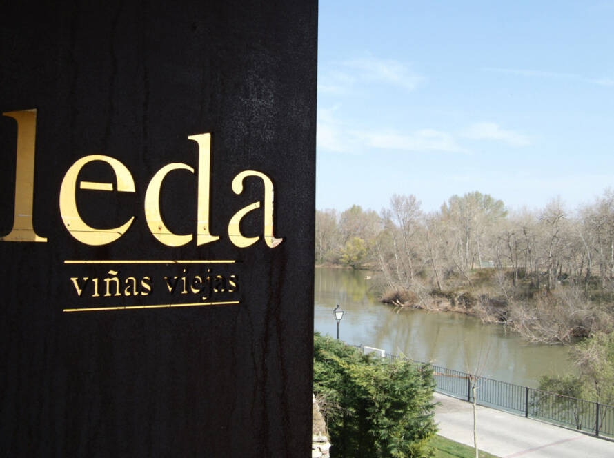 Vistas al duero desde bodegas Leda