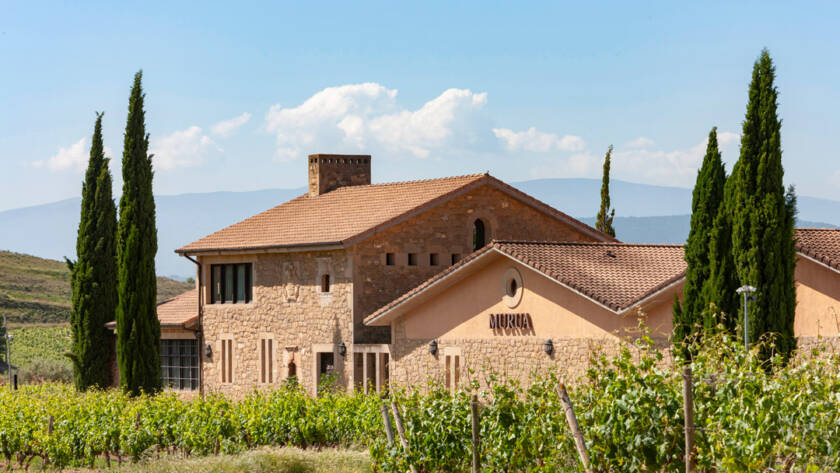 Vista bodega Murua y viñedos