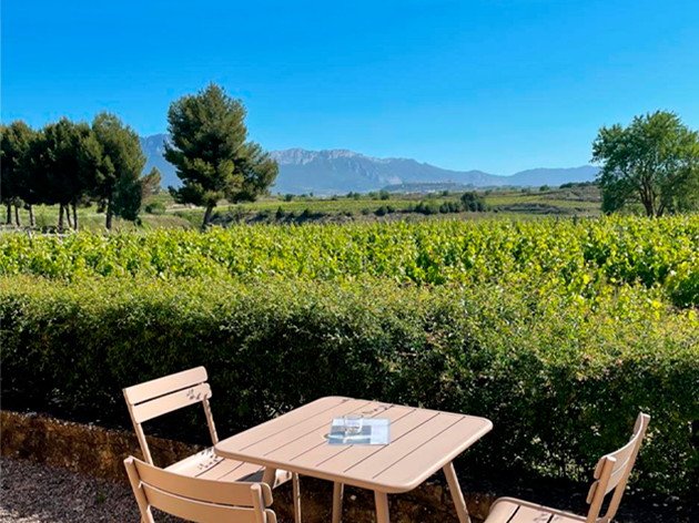 Vistas a viñedos desde mesa con sillas