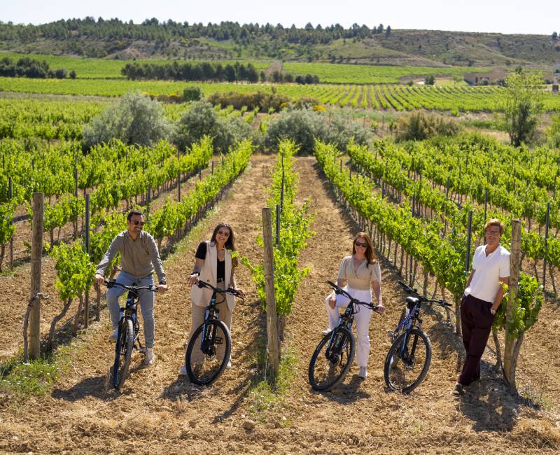 Enoturismo masaveu bodegas paseo en bicicleta