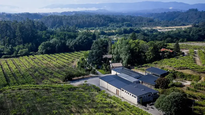 Placas solares en bodegas Fillaboa
