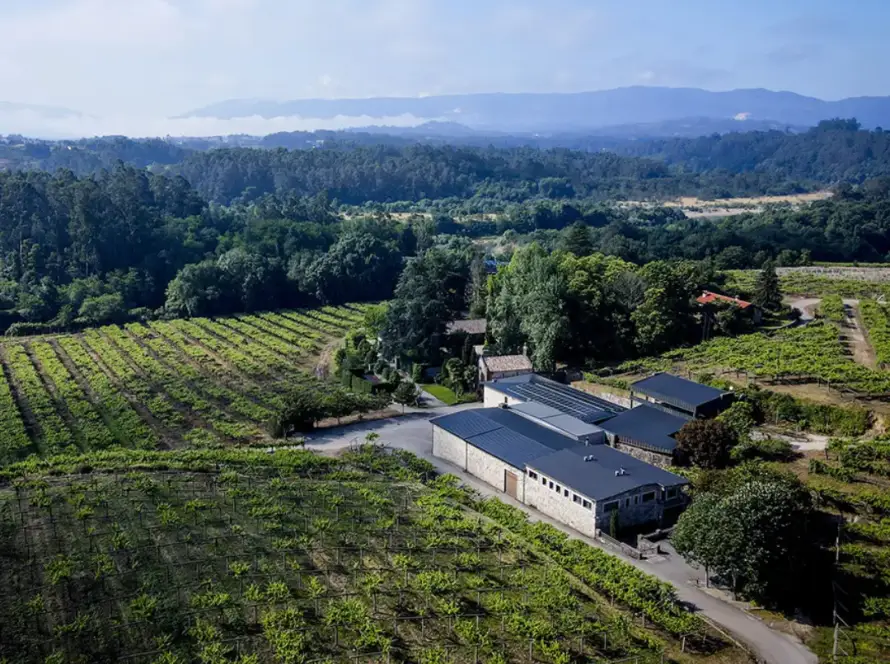Placas solares en bodegas Fillaboa