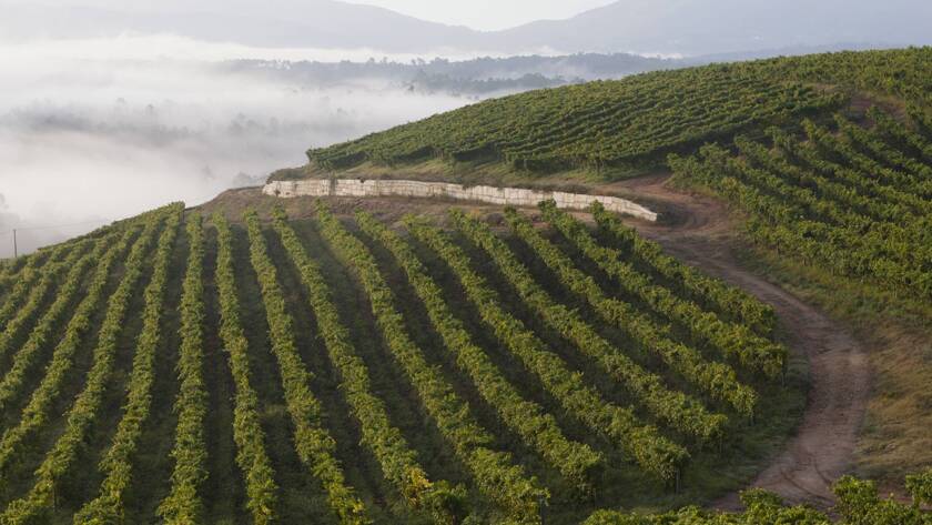 Paisaje vieñdos Masaveu