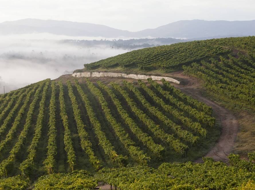 Paisaje vieñdos Masaveu