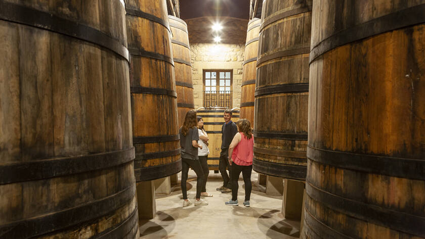Visita bodega en sala de barricas