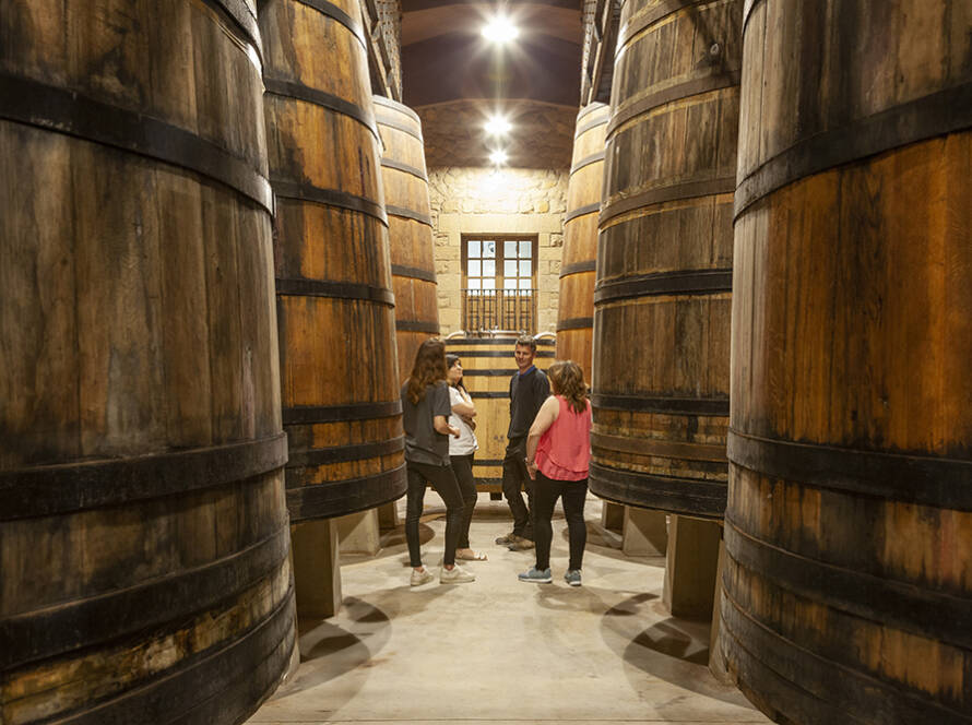 Visita bodega en sala de barricas
