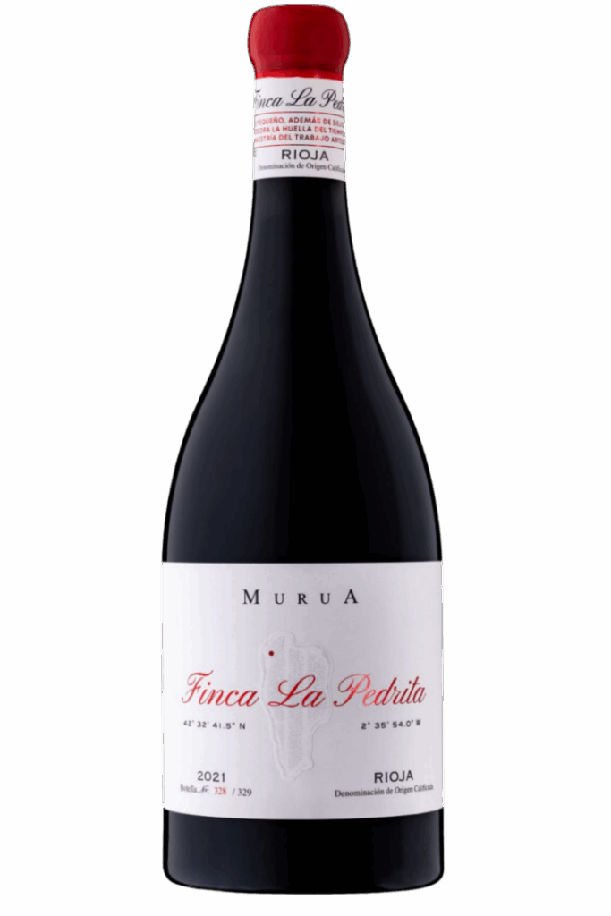 Botella vino tinto